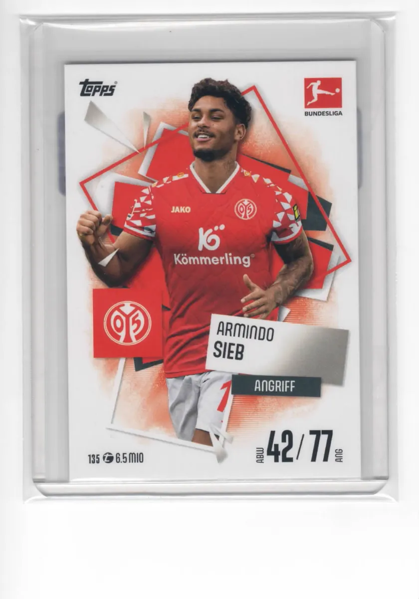 Vorschaubild von Armindo Sieb