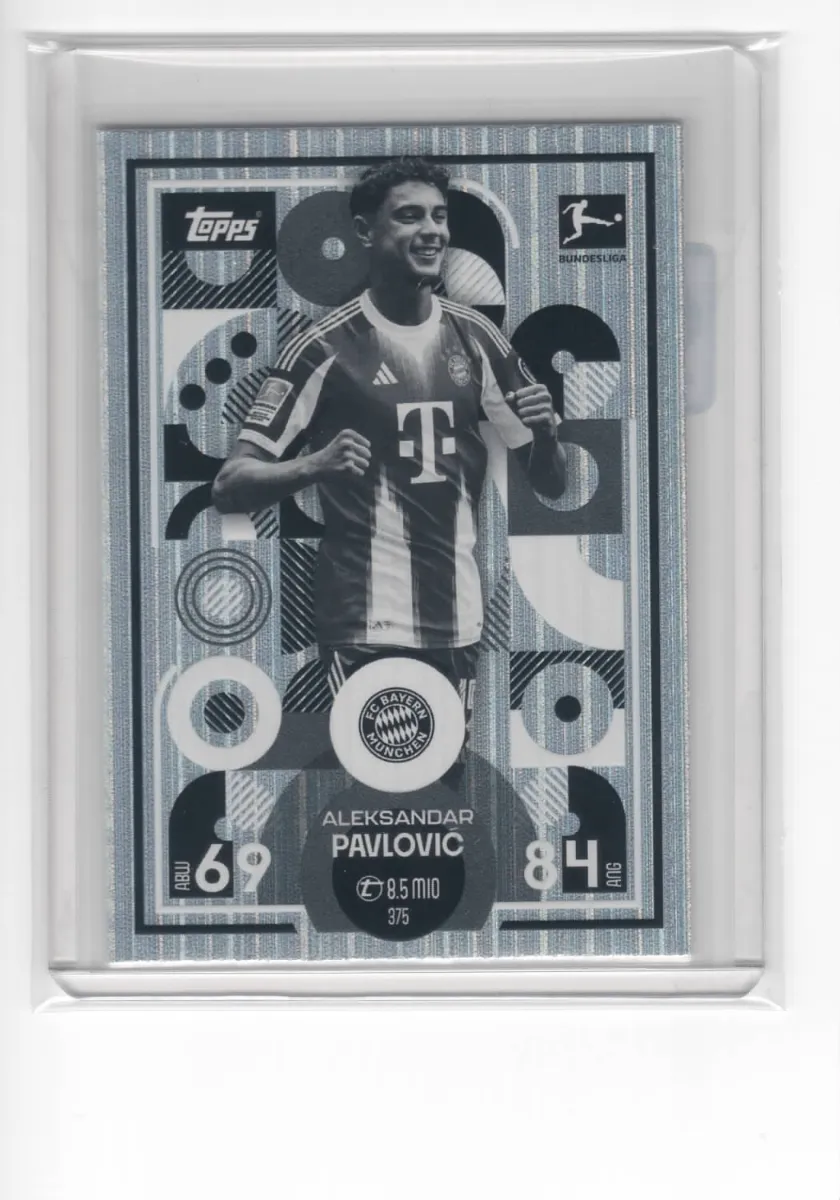 Vorschaubild von Aleksandar Pavlović